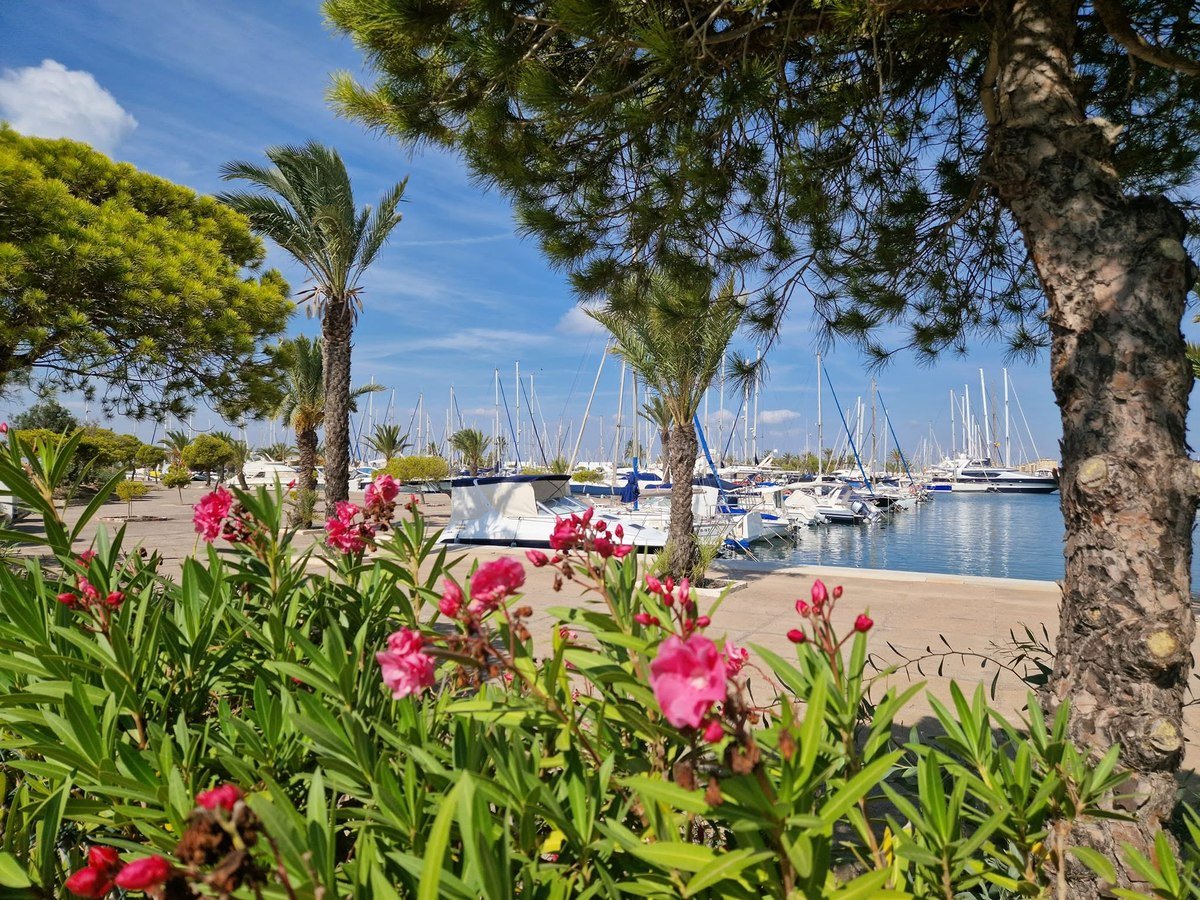 Yachthafen Puerto Tomás Maestre in La Manga del Mar Menor