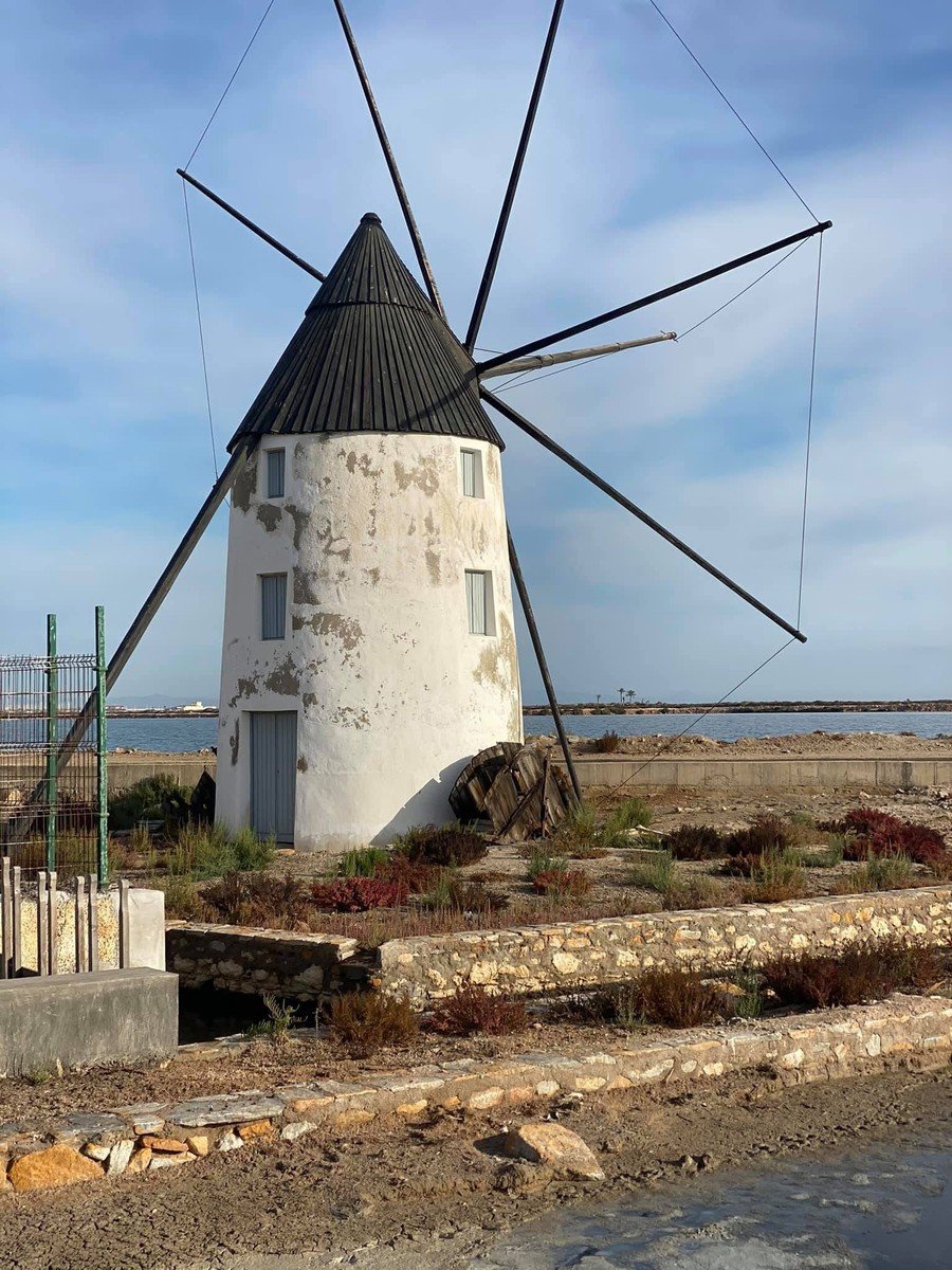 Molino salinero hist&oacute;rico blanco con capucha oscura en el Parque Regional Salinas de San Pedro del Pinatar