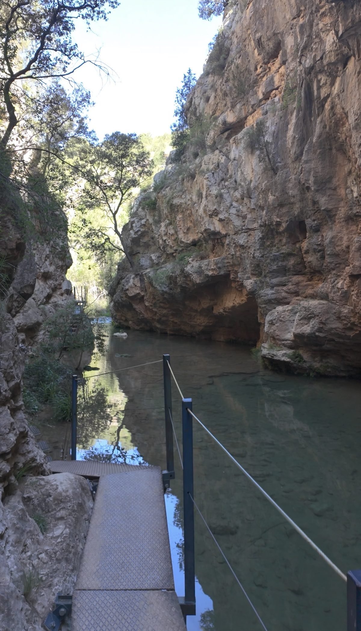 Metalen loopbrug boven de groene rivier in de kloof
