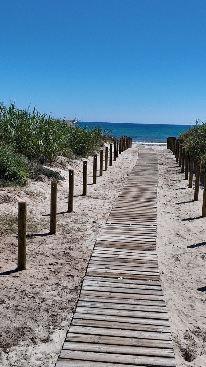 Pasarela de madera entre las dunas hacia la playa mediterr&aacute;nea de San Pedro del Pinatar