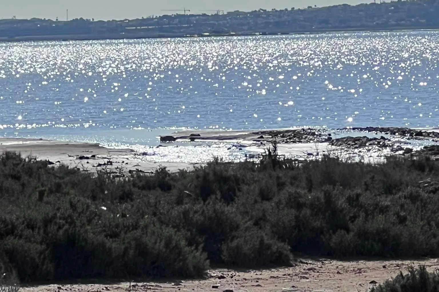 Ufer der Salzlagune bei Torrevieja