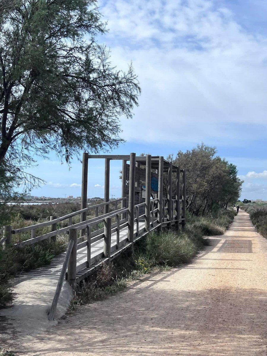 Observatorio de aves de madera junto al sendero en el Parque Regional Salinas de San Pedro del Pinatar