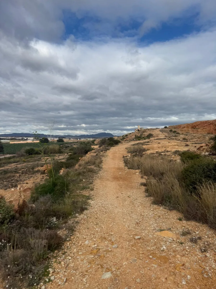 Amplio sendero sin asfaltar por la ladera del Cabezo Gordo con vegetación baja