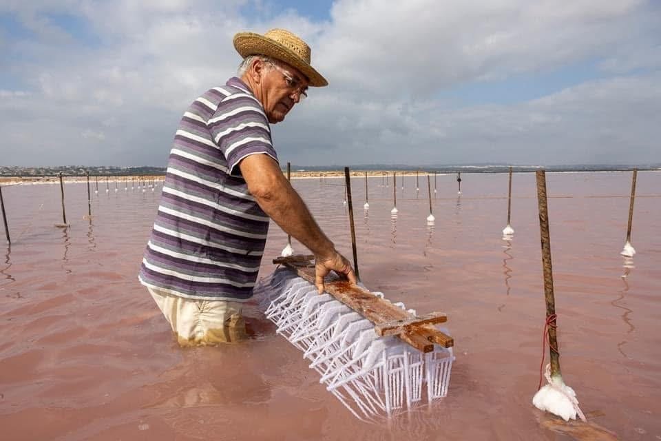 A salt worker places a rack of ship models in the pink lagoon of Torrevieja
